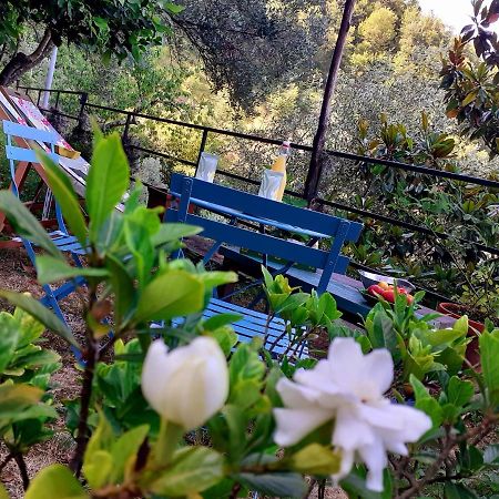 B&B I Glicini Vescina Extérieur photo