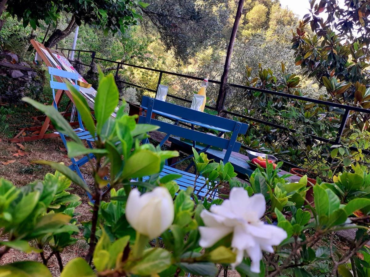 B&B I Glicini Vescina Extérieur photo