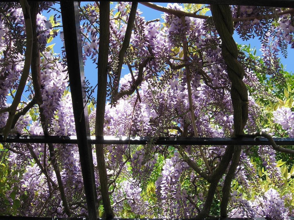 B&B I Glicini Vescina Extérieur photo