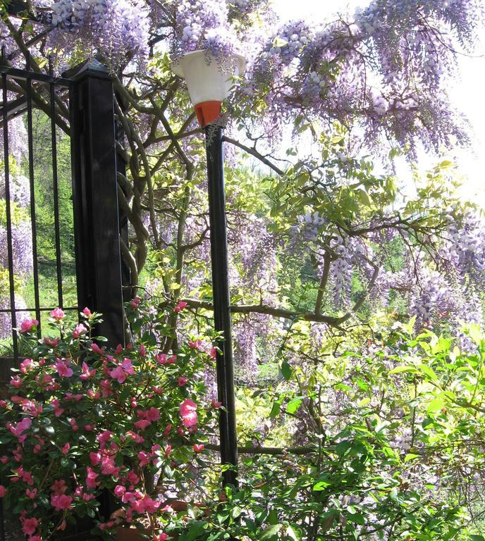 B&B I Glicini Vescina Extérieur photo