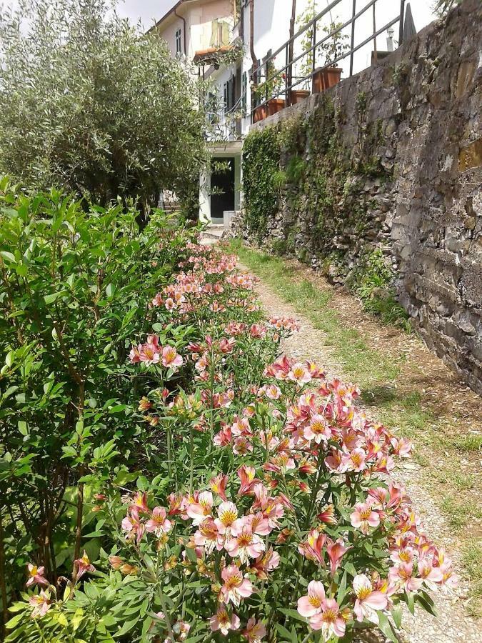 B&B I Glicini Vescina Extérieur photo