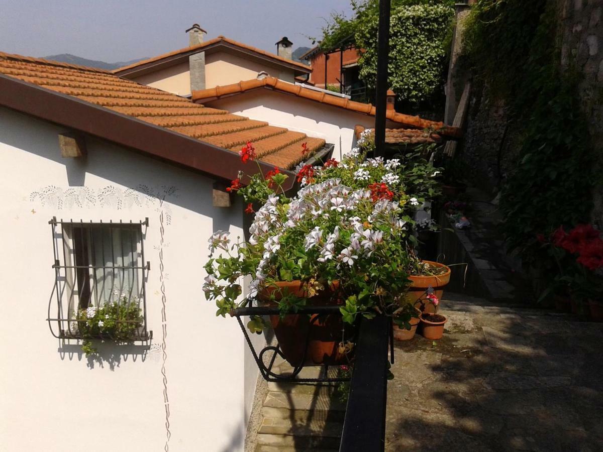 B&B I Glicini Vescina Extérieur photo