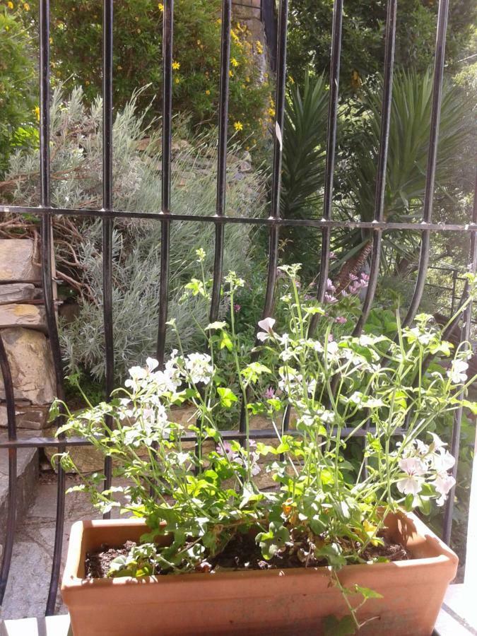 B&B I Glicini Vescina Extérieur photo