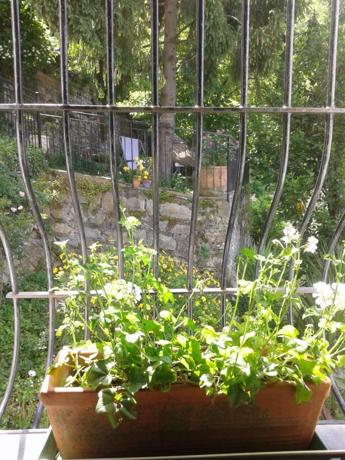 B&B I Glicini Vescina Extérieur photo