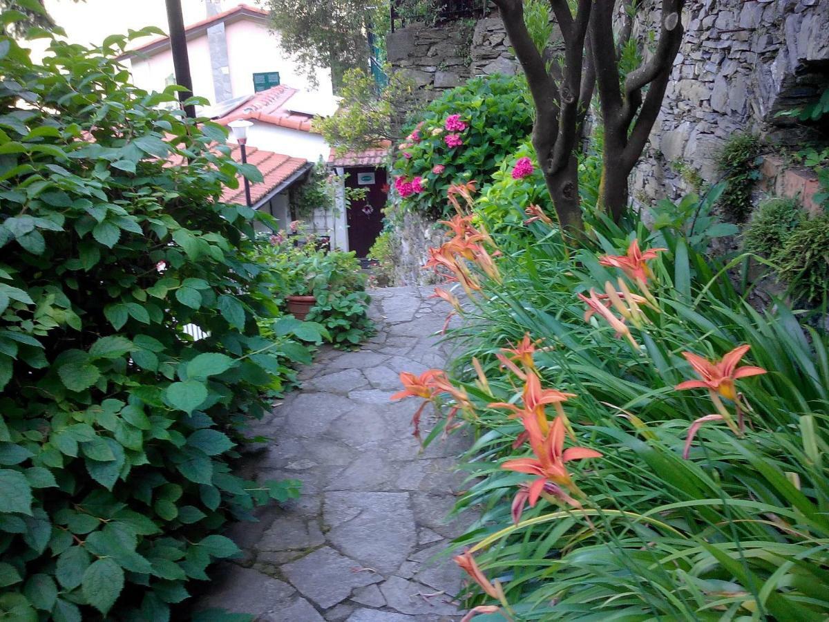 B&B I Glicini Vescina Extérieur photo