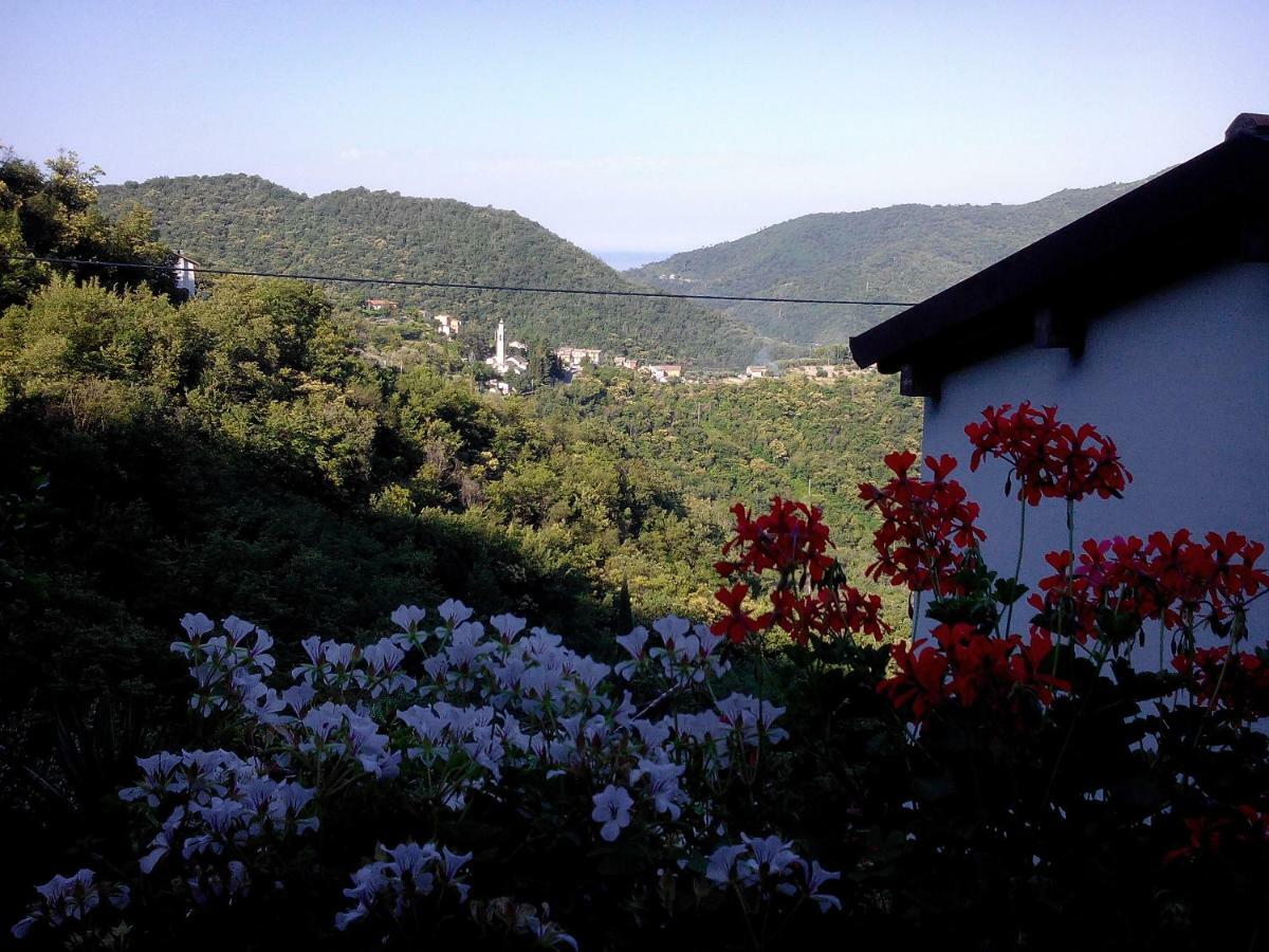 B&B I Glicini Vescina Extérieur photo