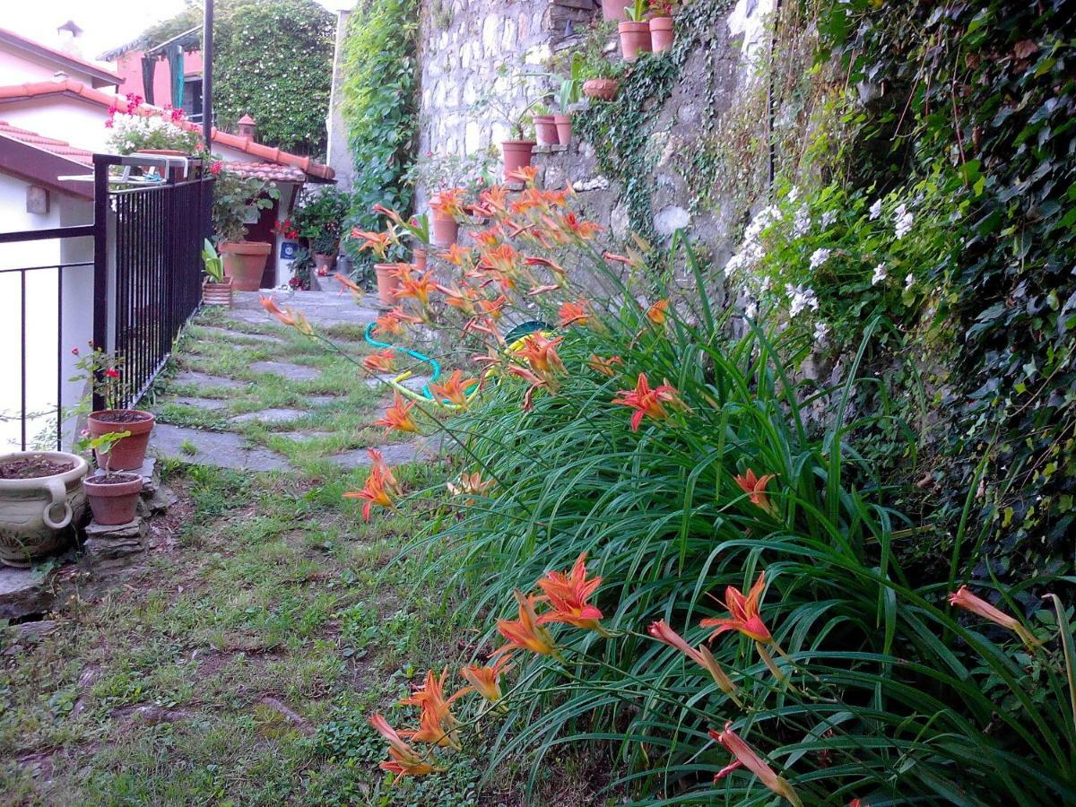 B&B I Glicini Vescina Extérieur photo